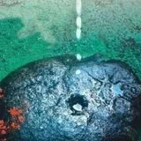 Featured image of post 【祖师开示】《禅林宝训》：大器是如何成就的？