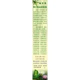 Featured image of post 端午节——佛子怀古共发愿