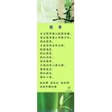 Featured image of post 简单