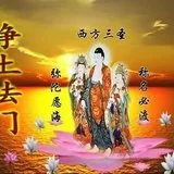 Featured image of post 【经论语录】难行道与易行道，差别有多大？（一）