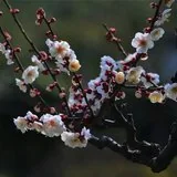 Featured image of post 【般若明灯】法藏法师：佛法的觉悟，从不愉快开始！
