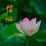 Featured image of post 【般若明灯】法藏法师：修行三要之“信心”（二）