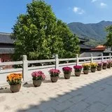 Featured image of post 【般若明灯】法藏法师：学佛的基础：向内看！