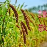 Featured image of post 【般若明灯】法藏法师：居弟子位、执弟子礼、具弟子相！