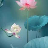 Featured image of post 【般若明灯】法藏法师：我心安处是三宝