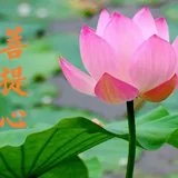 Featured image of post 【般若明灯】法藏法师：护教、利生是成就菩提心的两大核心！