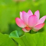 Featured image of post 【般若明灯】法藏法师：生活中时时以佛法省察！