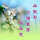 Featured image of post 【节日专题法语】母亲节，念佛万声报母恩