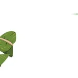 Featured image of post 【节日专题法语】端午佳节，灵石律寺请您接“粽”！