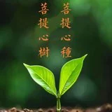 Featured image of post 【菩提愿海】植树节，播菩提心种，植菩提心树！