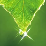 Featured image of post 【般若明灯】法藏法师：任劳任怨，心甘情愿！