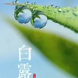 Featured image of post 【彼岸花开】白露劝念佛：只消四字行将去，果满功圆归故乡！