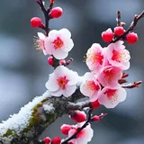 Featured image of post 【祖师开示】蕅益大师：十种逆境为道场（二）