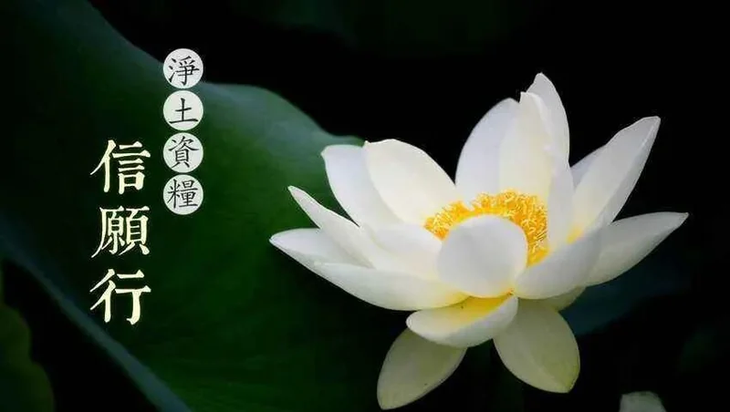 【念佛法语】蕅益大师：信愿如目，众行如足！