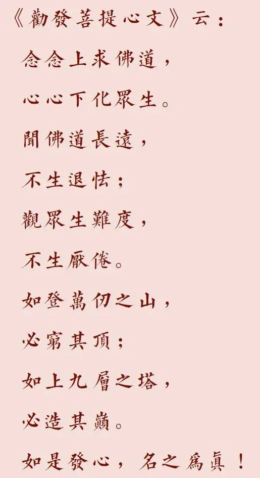 【菩提愿海】何为真正的菩提心？（附：视频法语）