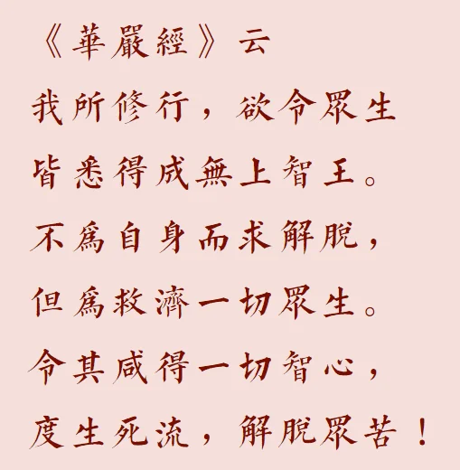 【菩提愿海】为何而修行？（附：视频法语）