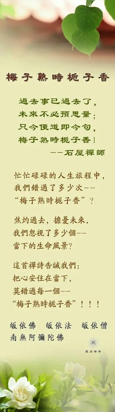 【人生嘉言】石屋禅师：梅子熟时栀子香（附：视频法语）