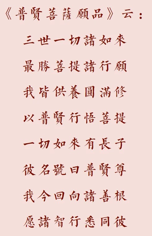 【菩提愿海】以普贤行悟菩提！