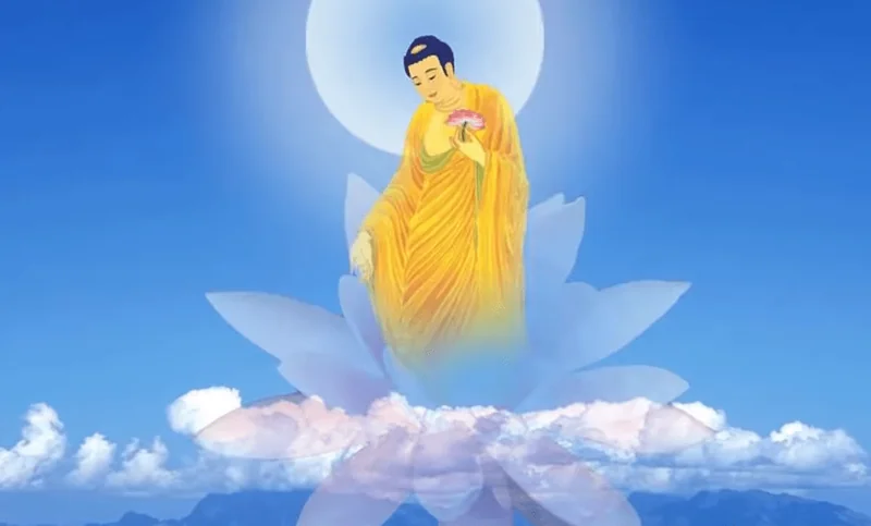 【彼岸花开】为什么说信愿念佛是药王中之药王？