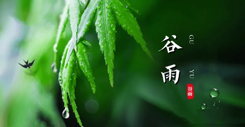 【彼岸花开】今日谷雨劝念佛：谷雨持名似疾雷，一声佛号扫尘埃！