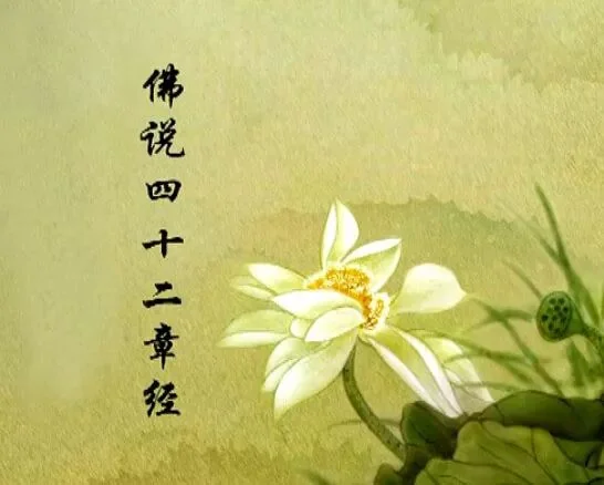 【佛经语录】什么样的人有力量？怎样才是最光明？