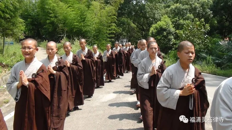 【追思剪影】上慧下本师父离开我们的49天