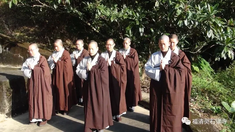 【灵石剪影】慎终追远，策勉后学——灵石律寺全体师僧礼塔祭祖