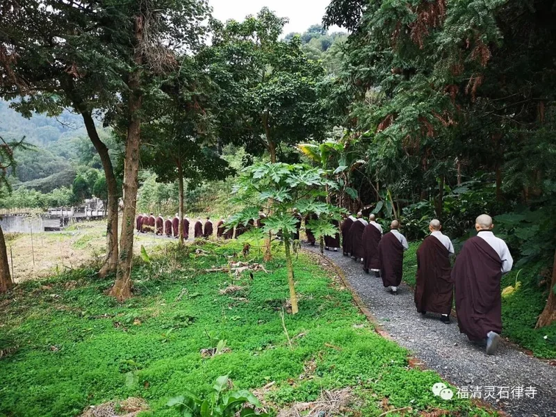 【灵石剪影】灵石律寺两序大众岁末祭祖礼塔
