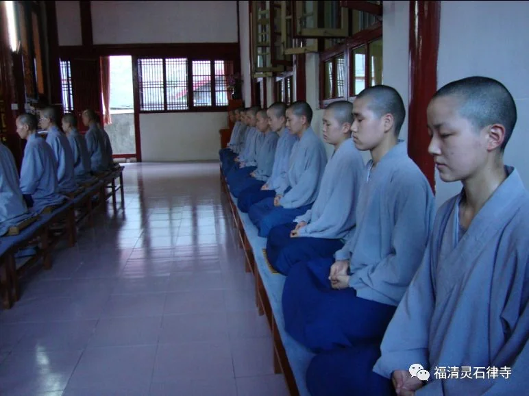 以戒为师，净土为归–福清灵石寺梵行律学苑2019年春季招生简章