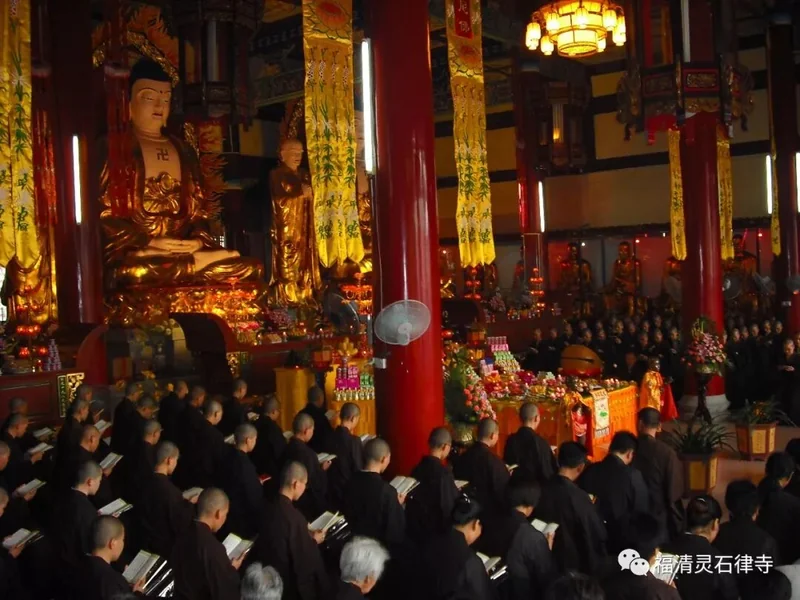以戒为师，净土为归–福清灵石寺梵行律学苑2019年春季招生简章