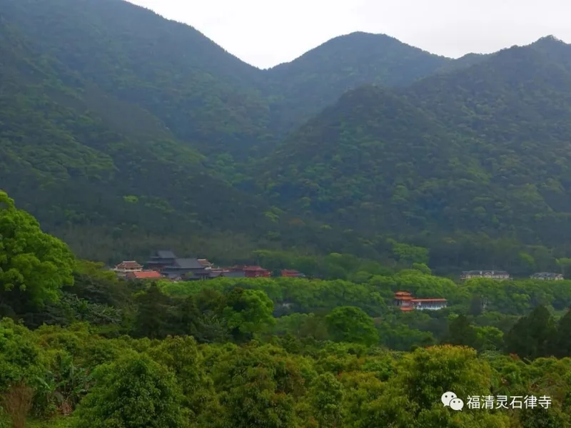 【剪影】清明将至，源本兴思—2019灵石律寺两序大众祭祖礼塔