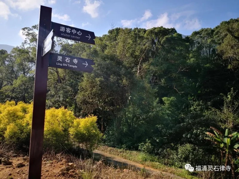 【剪影】清明将至，源本兴思—2019灵石律寺两序大众祭祖礼塔