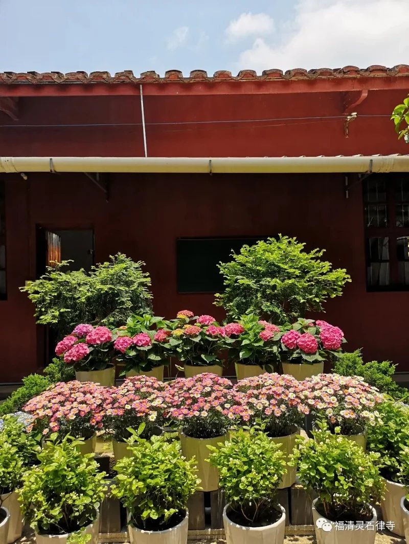 【剪影】灵石律寺2019“感念佛恩，浴佛净心“法会