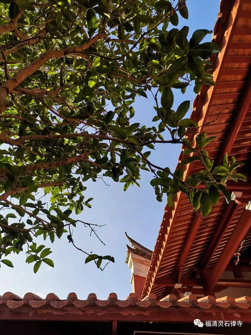 【二课合解之卷一篇】佛放光现瑞是如何表法的？