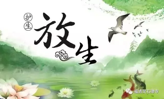 【放生须知】懂得这一放生须知，功德胜于普通放生百倍！