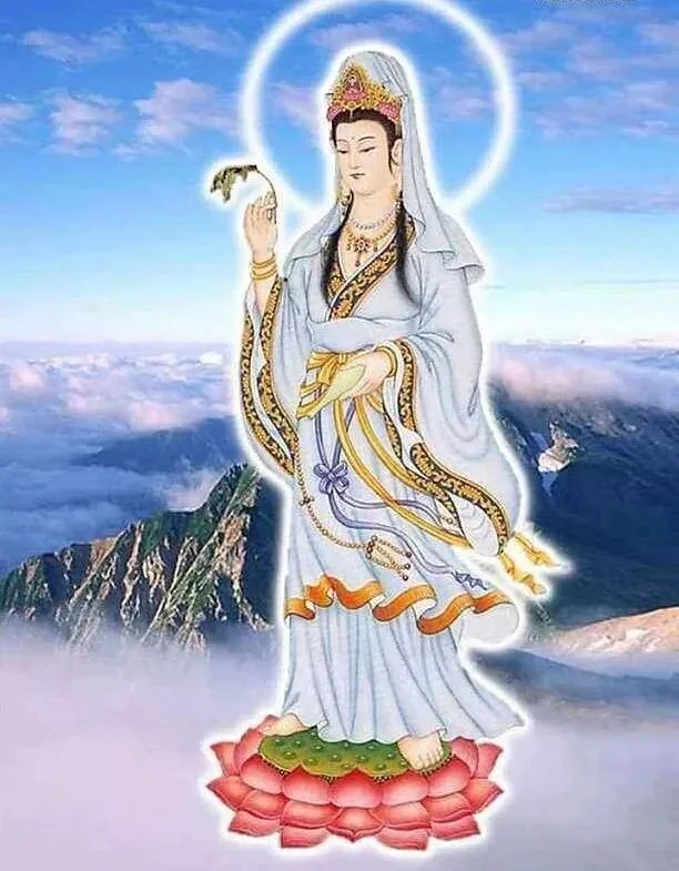【二课合解之卷一篇】什么样的悲心才称得上无碍