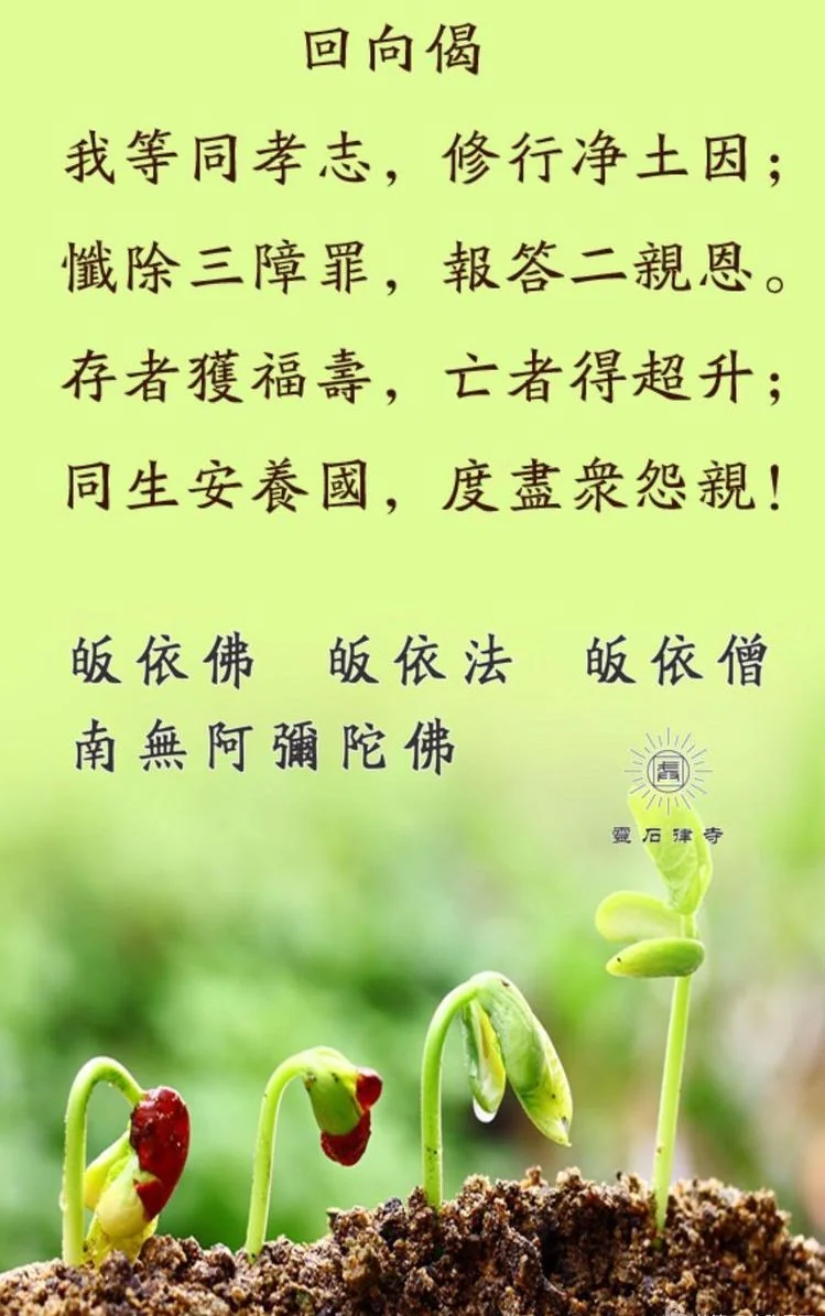 【冬至孝亲报恩专题】如何祭奠真正利益亡者？（二）