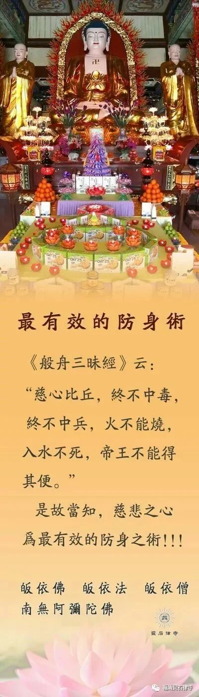【抗疫专题法语】最有效的防身术