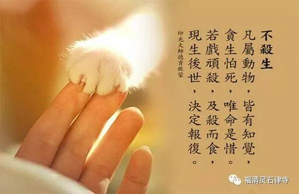 【祖师法语】念佛不可以杀生！