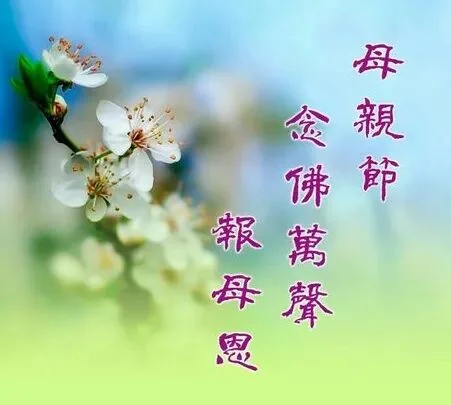【节日专题法语】母亲节，念佛万声报母恩