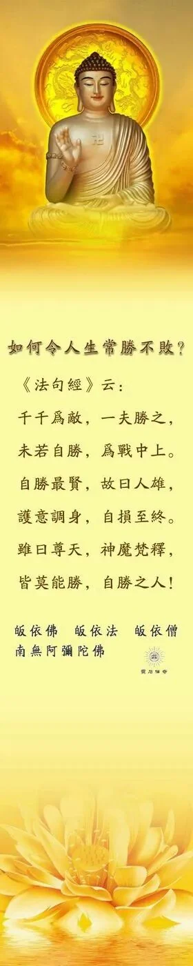 \u200b 【佛经语录】如何令人生常胜不败？