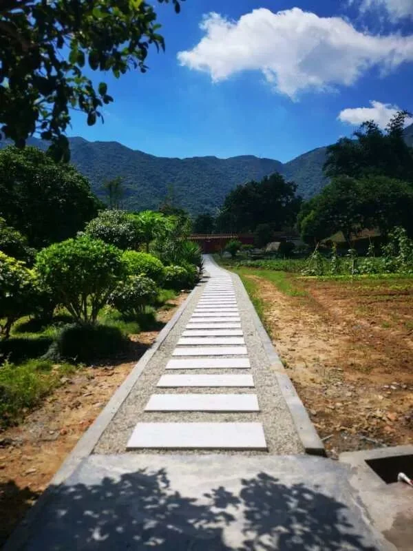 【佛经语录】学佛多年，\u200b为何还有烦恼？