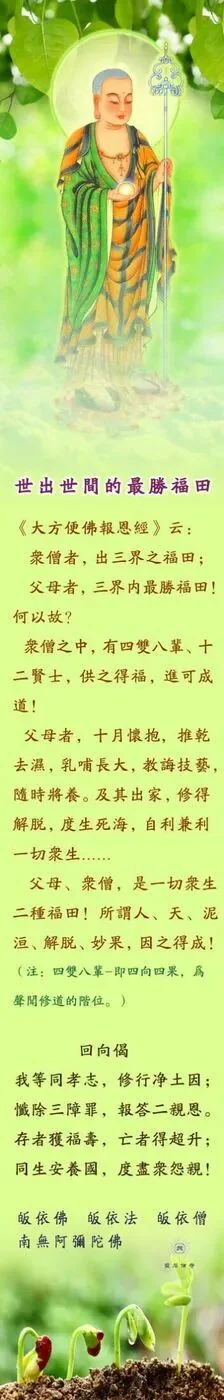 【孝亲报恩专题】世出世间的最胜福田\u200b