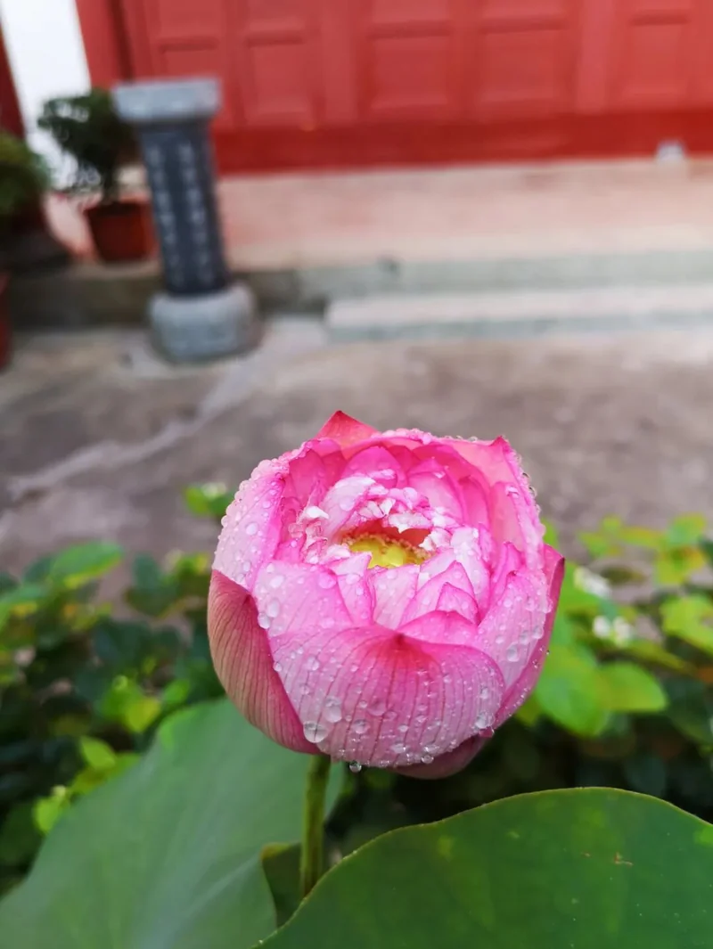 【经论语录】难行道与易行道，差别有多大？（一）