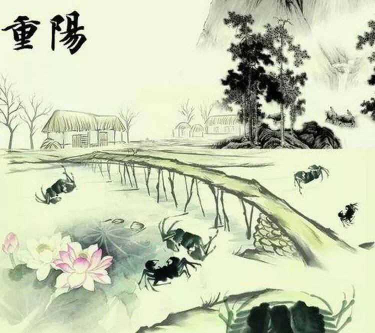 【节日专题法语】重阳节，送给老菩萨们的礼物！