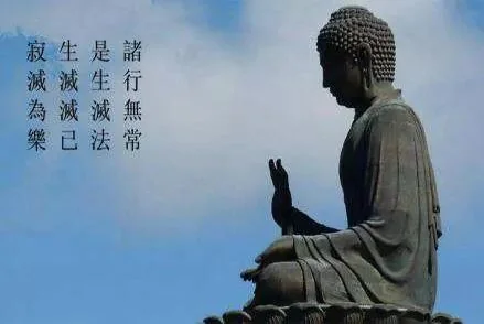 【甘露法雨】自在，就在每一次的放下！
