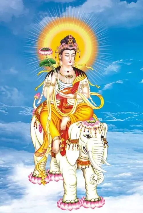 【佛菩萨圣诞专题法语】恭迎普贤菩萨圣诞，让我们共修普贤十大愿王！