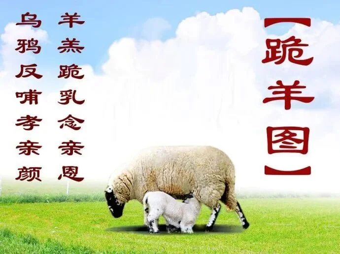 【孝亲报恩专题法语之七】佛陀因地故事：孝顺的鹦鹉
