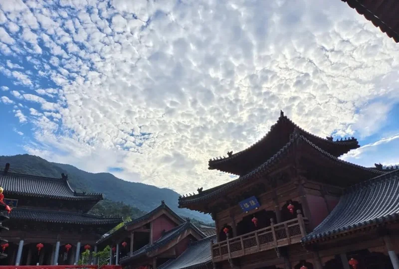 【佛佑中华 国泰民安】他年净土花开处，记去娑婆念佛时！