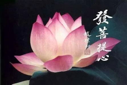 【甘露法语】法藏法师：发心为众，成就福报！